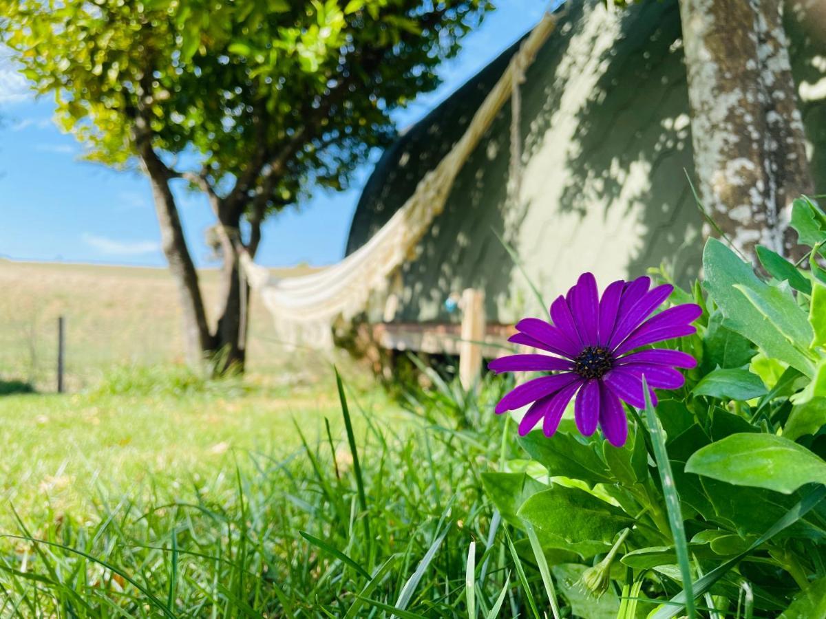 Hostal Glamping Turquesa Corredoura Exterior foto